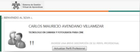 Actualizar perfil profesional